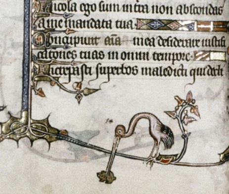 toads-mean-trouble-3