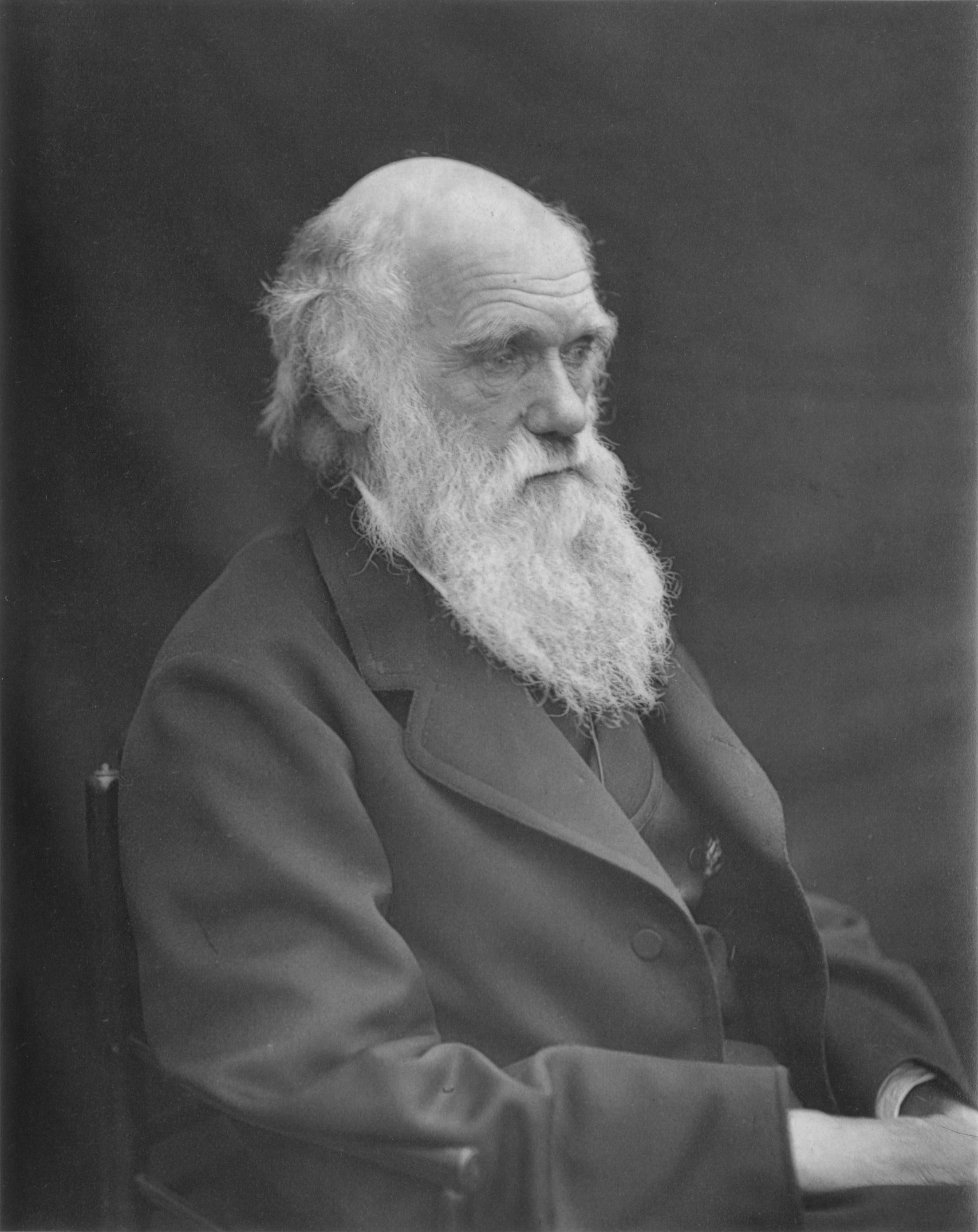 Darwin Rocks! – READING HISTORY