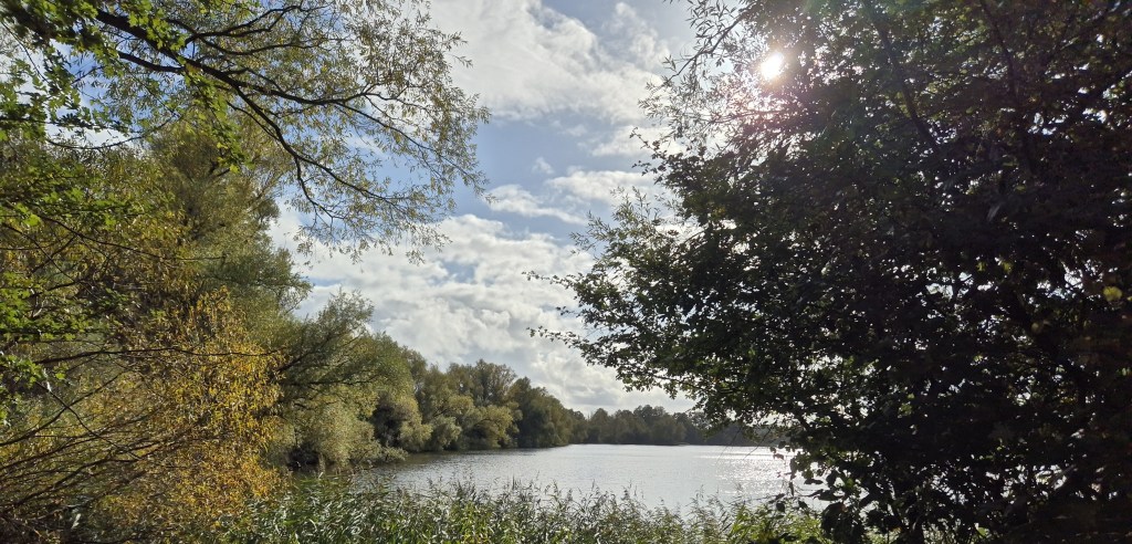 Six Things You Ought to Know About Being Working Class at the University of Reading … and One Hope for the&nbsp;Future